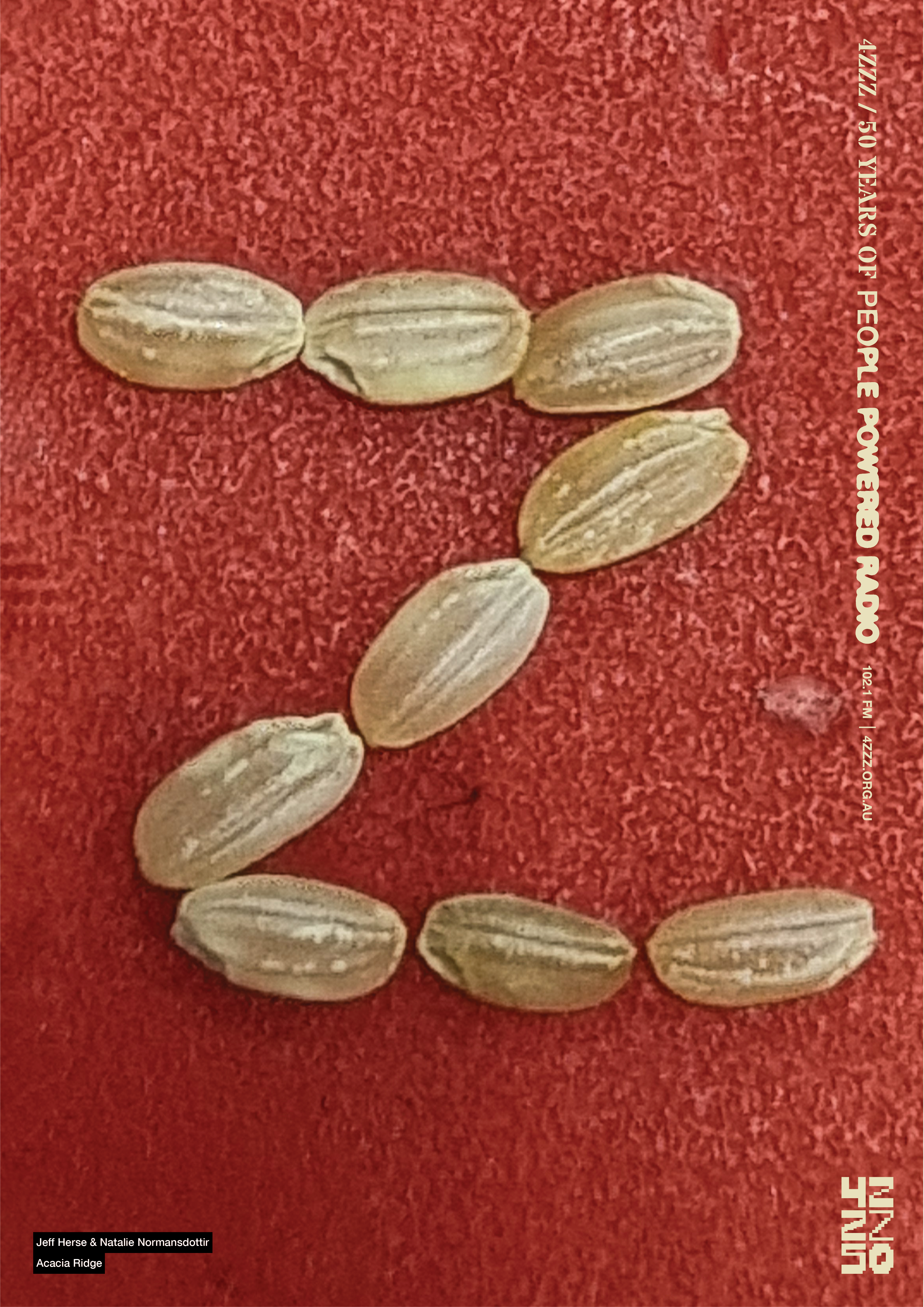 pistachio nut shells lined up in the shape of a Z on a red background.