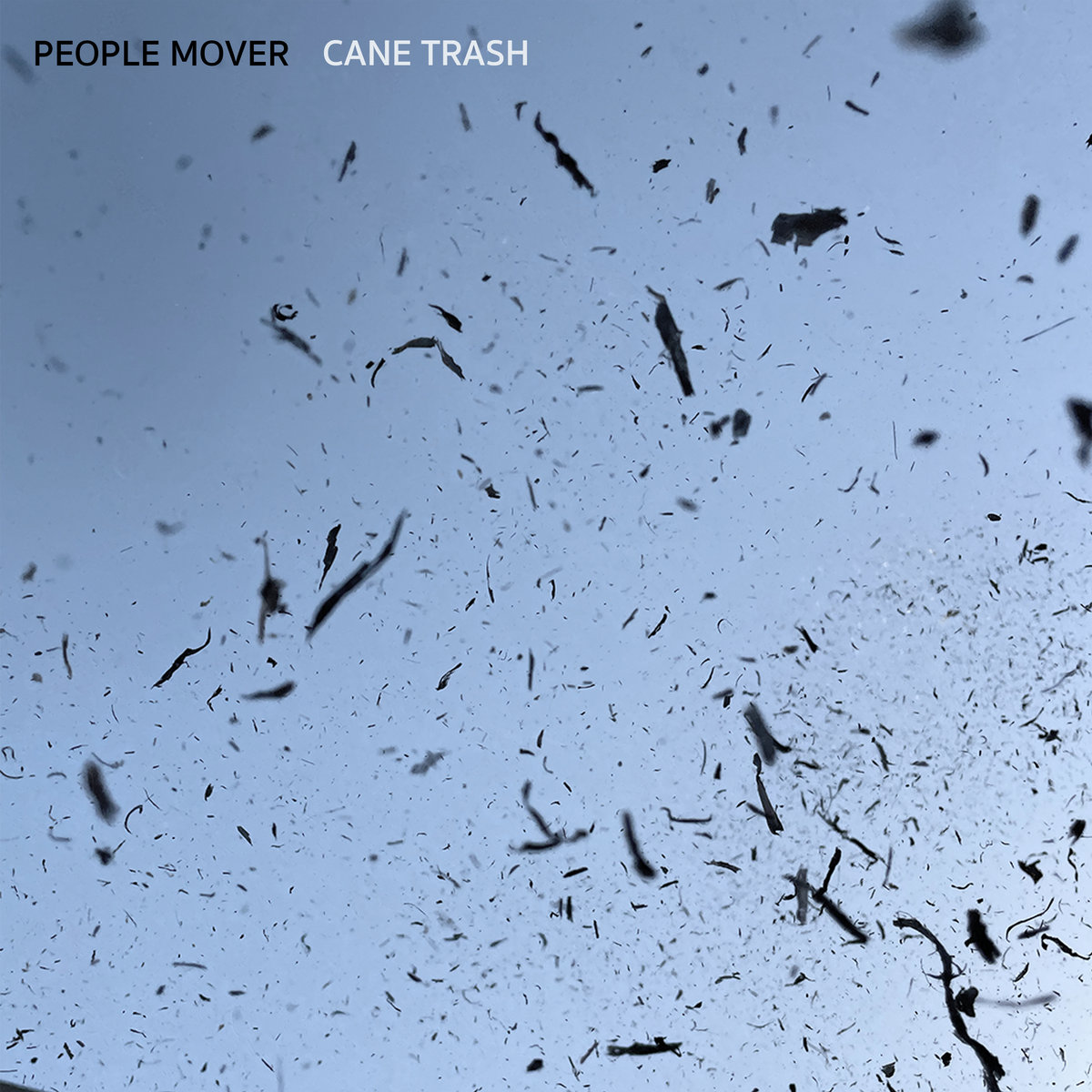 people mover cane trash