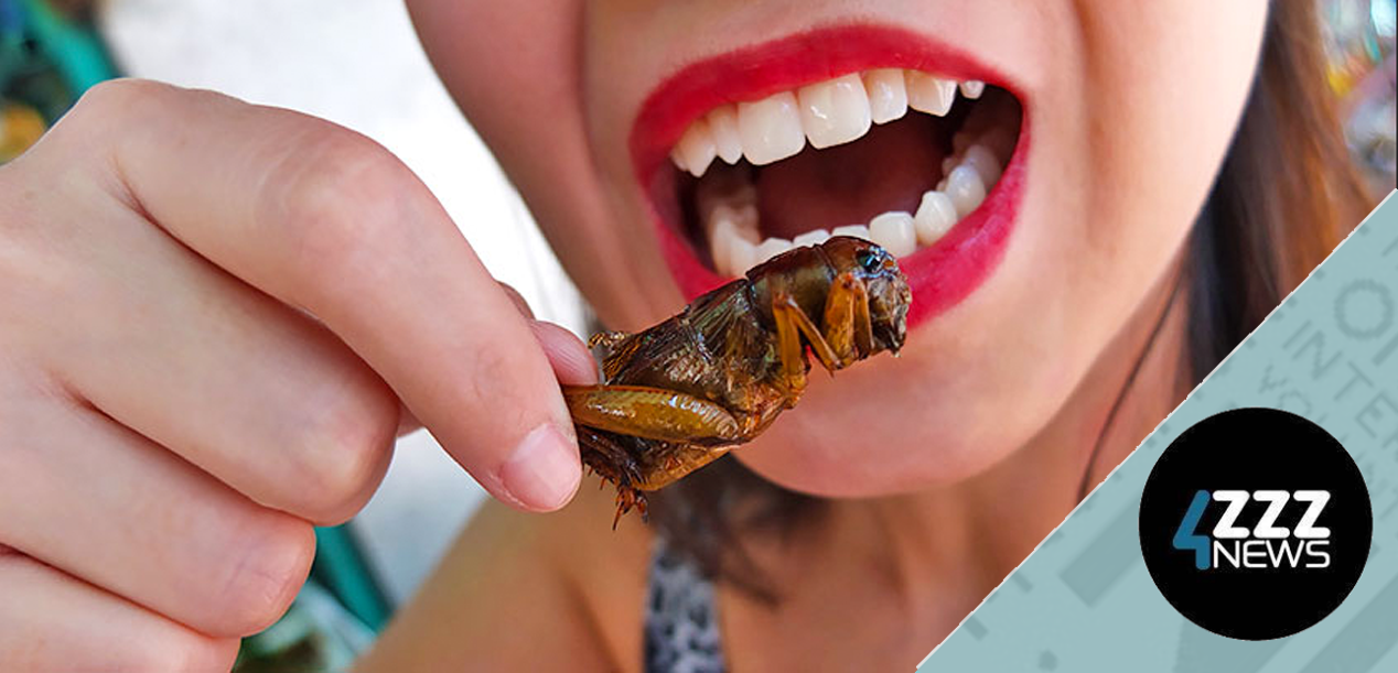 Insects as an alternative food source - pros and cons