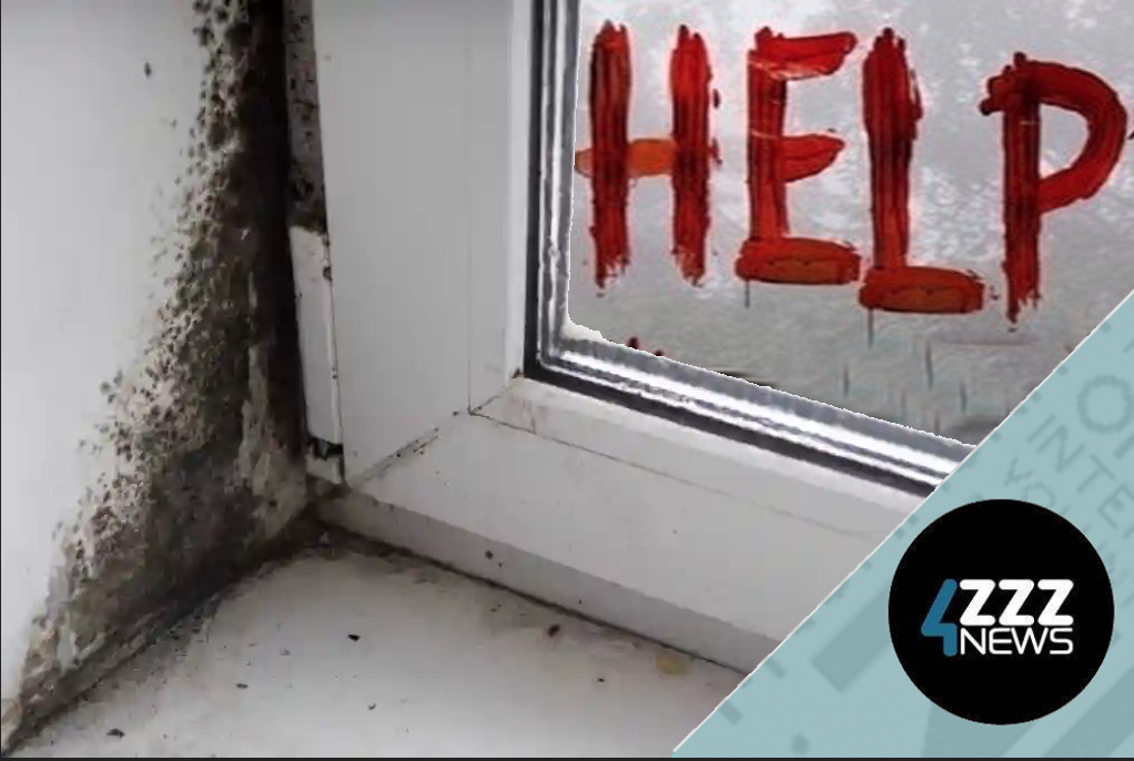 Mould - Is it dangerous? 