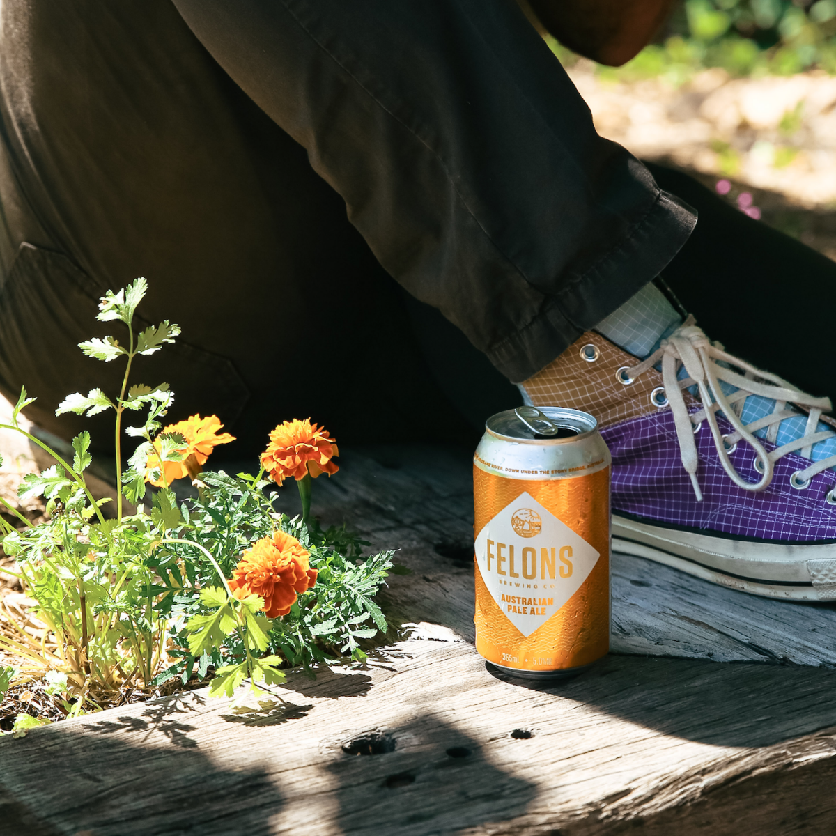 An opened orange can of Felons Australian Pale Ale beer is sitting on the side of a garden bed in the foreground, beside some cute orange flowers (similar to dandelions). In the background, the bent khaki-pants-and-colourful-Converse-shoe-wearing leg is rested behind the can.