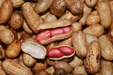 Peanuts