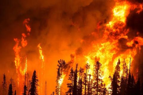 image of wildfire