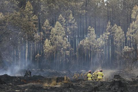 Image of smoking forest with firefighters