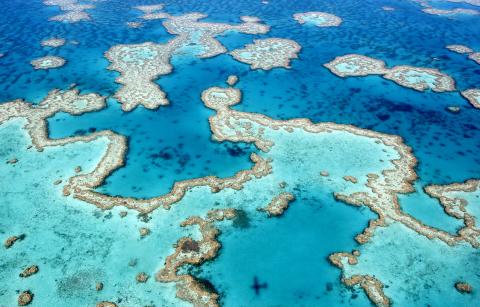 Image of great barrier reef