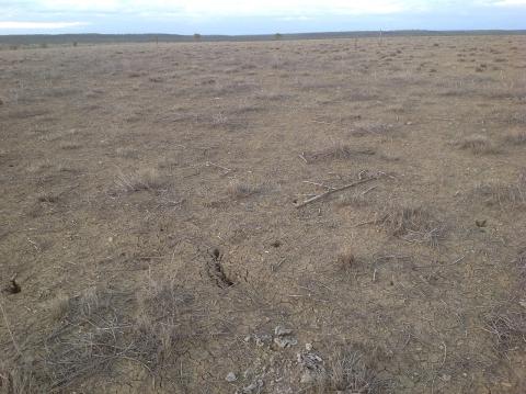 Hughenden Queesland Drought