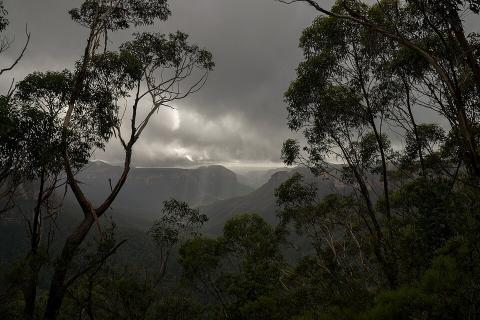 Blue Mountains NSW