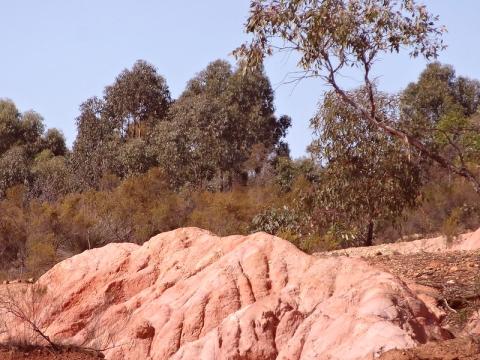 Heathcoate Pink Cliffs