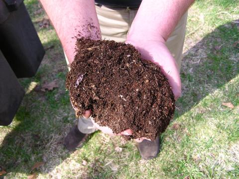 Image of compost