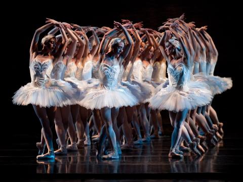 Cincinnati Ballet Swan Lake