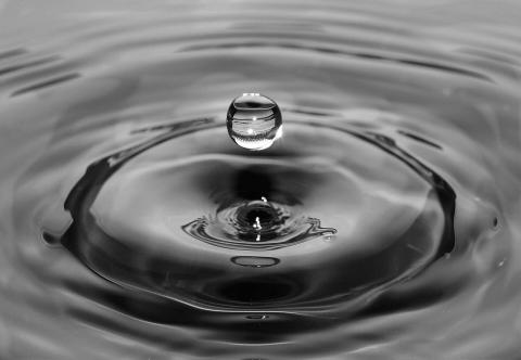Image of Water