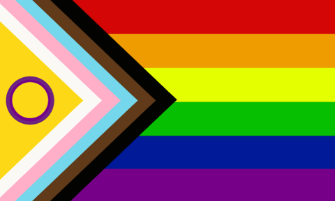 Image of an LGTBQIA+ pride flag.
