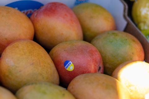 Mangoes