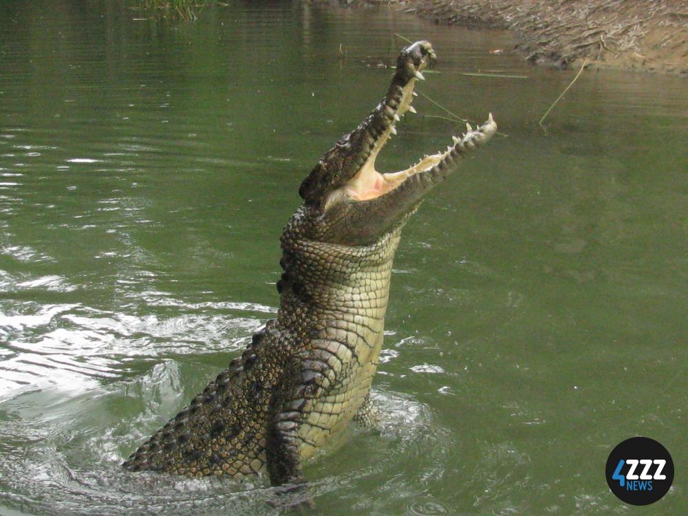 "Hartley's Creek Crocodile farm" by Sue Waters is licensed under CC BY-SA 2.0.