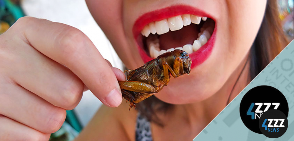 Insects as an alternative food source - pros and cons