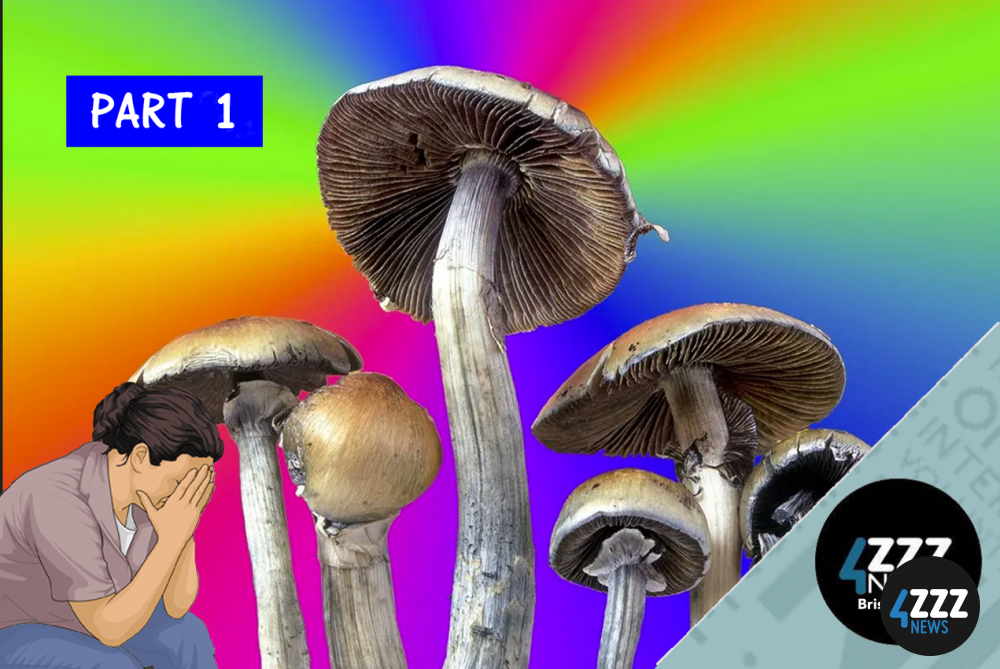 Magic Mushrooms Pt1