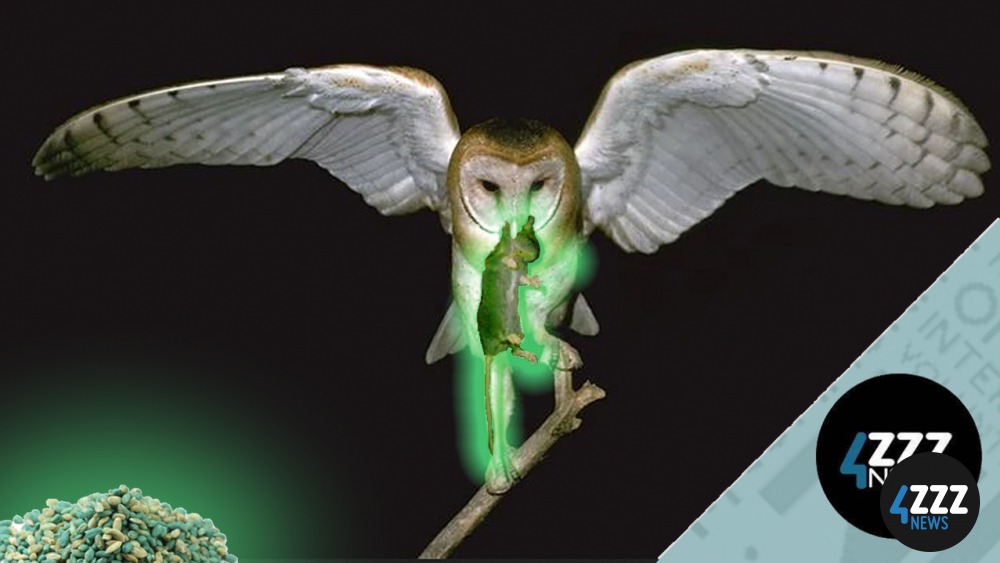 Unintended Owl Poisoning Unintended Owl Poisoning