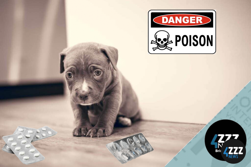 All About the Australian Animal Poisons Centre All About the Australian Animal Poisons Centre