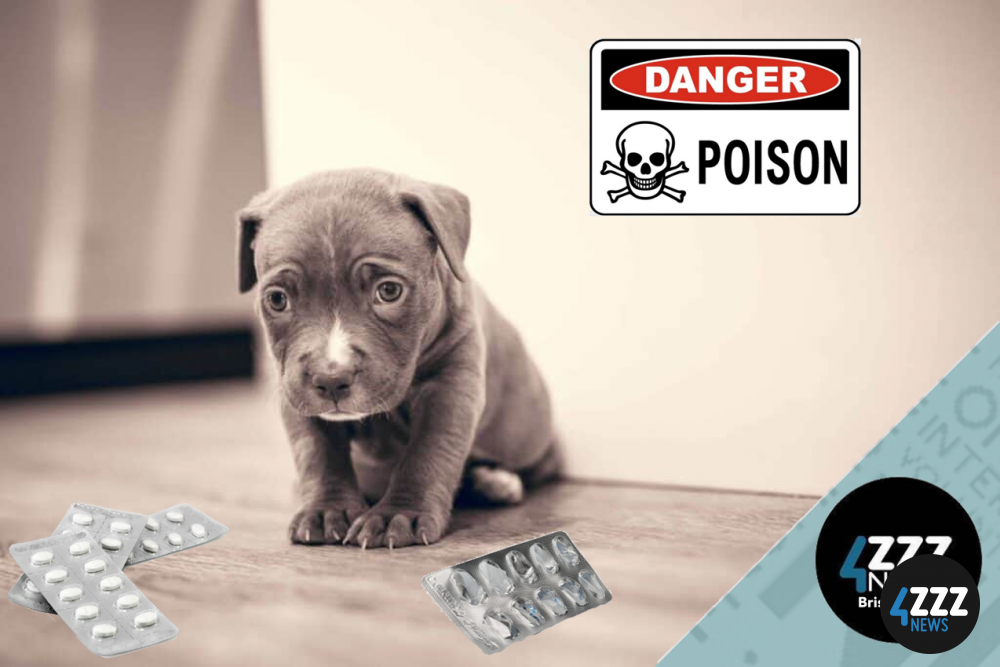 All About the Australian Animal Poisons Centre