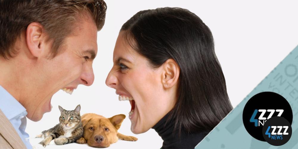 Did you know most Domestic Violence refuges aren't pet-friendly?