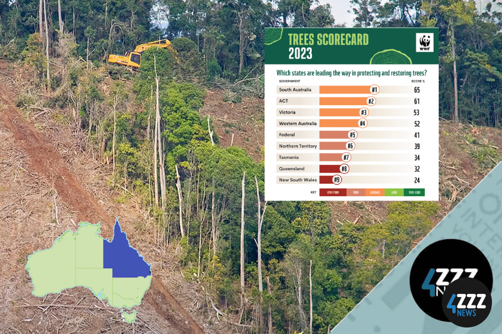 World Wide Fund for Nature - Tree Score Card World Wide Fund for Nature - Tree Score Card