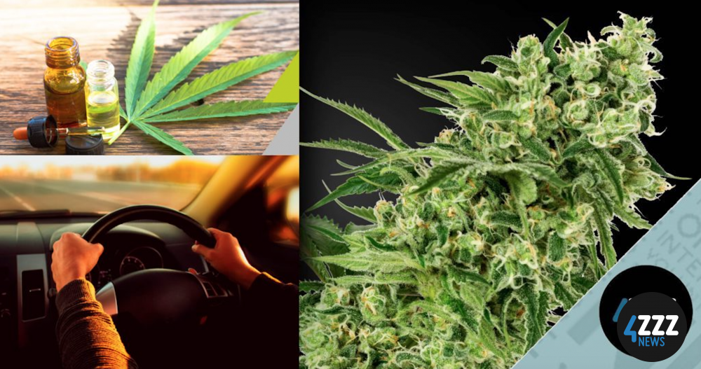 Cannabis and Driving