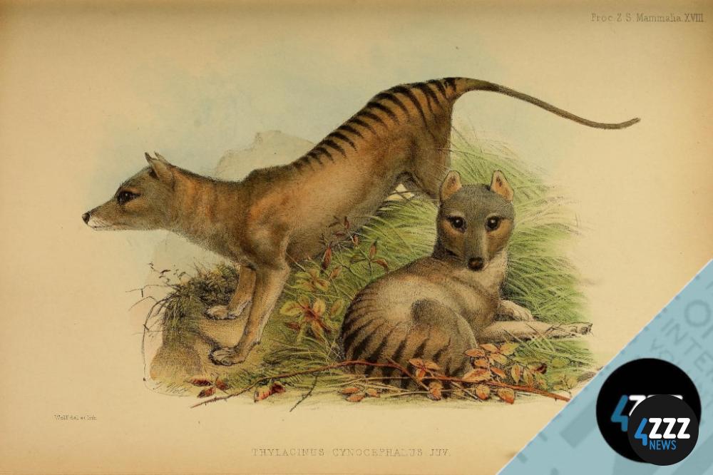 Native animals as pets and bringing back extinct species