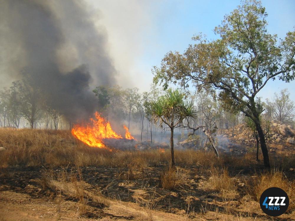 Bushfire in scrub