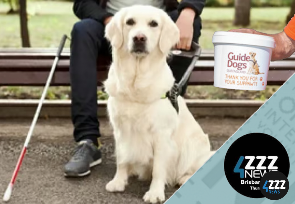 Guide Dogs Queensland supporting vision loss